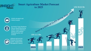 Smart Agriculture Market to Grow at a CAGR of 11.5% to reach US$ 30.01 Billion
