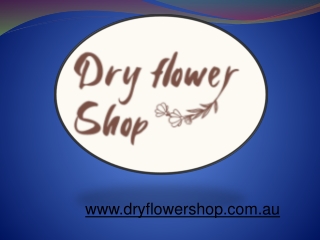 Visit A Trustworthy Online Store For Dry Flowers