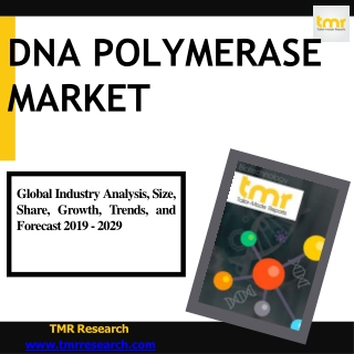 DNA Polymerase : Overview , Function and Types