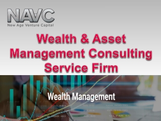 Wealth &Asset Management Consulting Service Firm