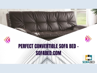 Perfect Convertible Sofa Bed - sofabed.com