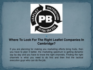 Where To Look For The Right Leaflet Companies In Cambridge