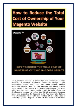 How to Reduce the Total Cost of Ownership of Your Magento Website