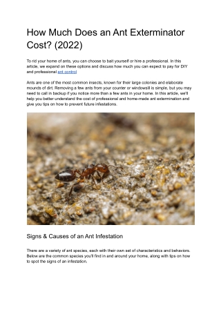 How Much Does an Ant Exterminator Cost? (2022)
