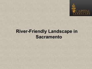 River-Friendly Landscape in Sacramento