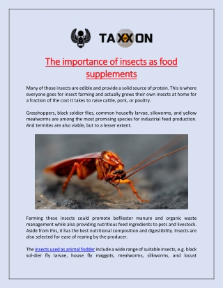 The importance of insects as food supplements