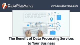 Data Plus Value Web Services - Data Processing Services For your Businesses