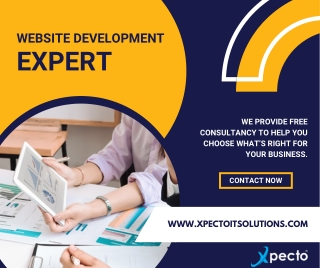 Website Development Expert