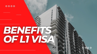 Benefits of L1 Visa | Startup Business Bureau