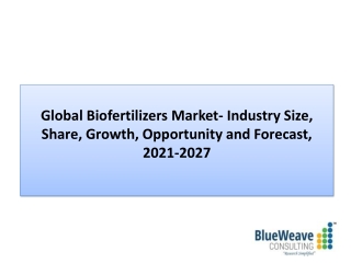 Biofertilizers Market Research Report 2022-2028