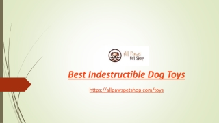 Best Indestructible Dog Toys