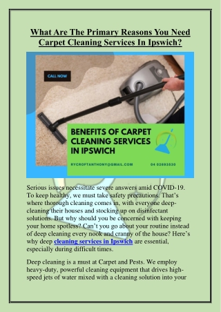 What Are The Primary Reasons You Need Carpet Cleaning Services In Ipswich?