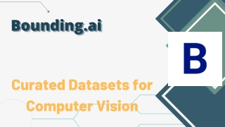 Curated datasets for computer vision