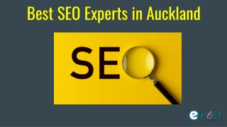 Best SEO Experts in Auckland