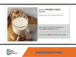 Peanut Milk Market