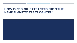 How is CBD Oil Extracted from the Hemp