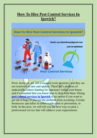 How To Hire Pest Control Services In Ipswich?