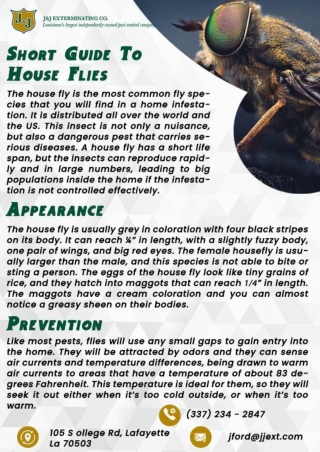 Deridder Termite Pest Control |Baton Rouge Termite Control