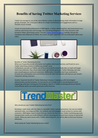Benefits of having Twitter Marketing Services