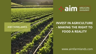 Invest in Agriculture - Making the Right to Food a Reality