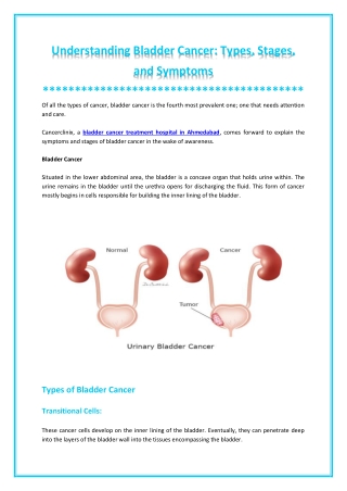 Everything About Bladder Cancer