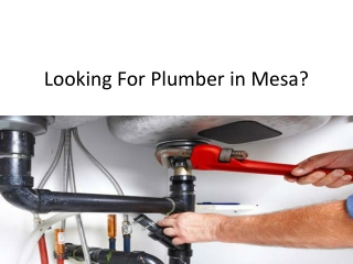 Looking For plumber in Mesa?