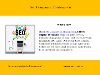 Seo Company in Bhubaneswar