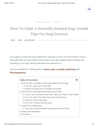 How To Calm A Sexually Excited Dog_ 4 Useful Tips For Owners
