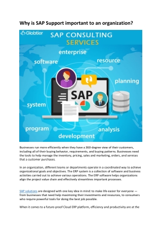 Why is SAP Support important to an organization