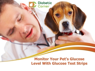 Monitor Your Pet’s Glucose Level With Glucose Test Strips