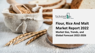 Global Flour, Rice And Malt Market Highlights and Forecasts to 2031