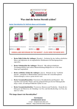 Was sind die besten Steroid zyklen?