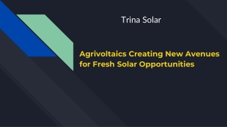 Agrivoltaics Creating New Avenues for Fresh Solar Opportunities