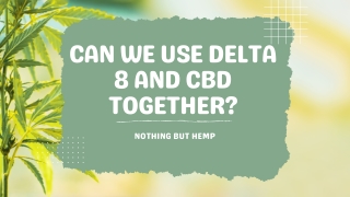 Can We Use Delta 8 and CBD Together