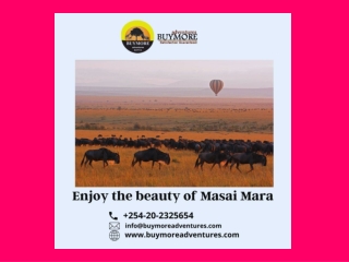 Masai Mara Migration Safari: Experiencing the Beautiful Aspect of Eastern Africa