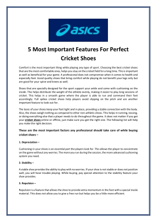 5 Most Important Features For Perfect Cricket Shoes