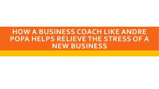 How a Business Coach Like Andre Popa Helps Relieve the Stress of a New Business