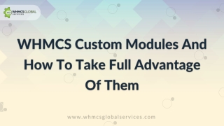WHMCS Custom Modules And How To Take Full Advantage Of Them