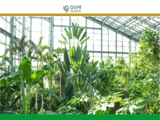 Climate friendly products