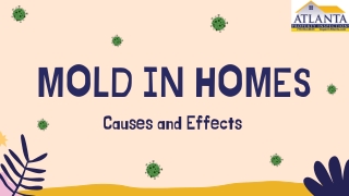 Mold In Homes: Causes and Effects