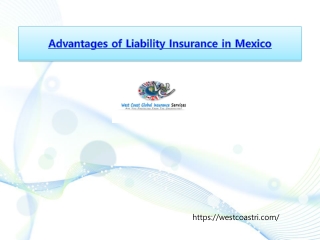 Advantages of Liability Insurance in Mexico