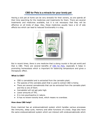 CBD for Pets is a miracle for your lovely pet