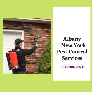 Albany New York Pest Control Agency