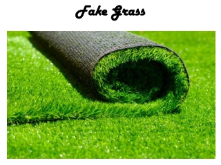 Fake Grass