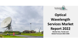 Optical Wavelength Services Market