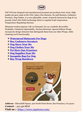Dog Supplies Near Me