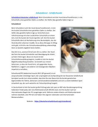 Schutzdienst - Schäferhunde