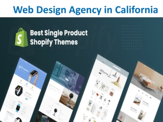 Web Design Agency in California