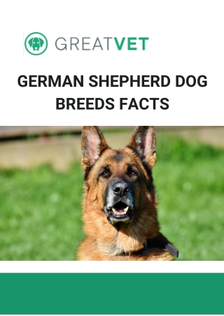 German shepherd dog breeds facts