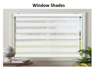 Window Shades